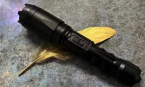 灯盏细辛对心脑血管的效果-灯盏细辛颗粒降血脂效果好吗、灯盏细辛和舒血宁的区别 -灯盏细心可以和舒血宁联合用药吗网